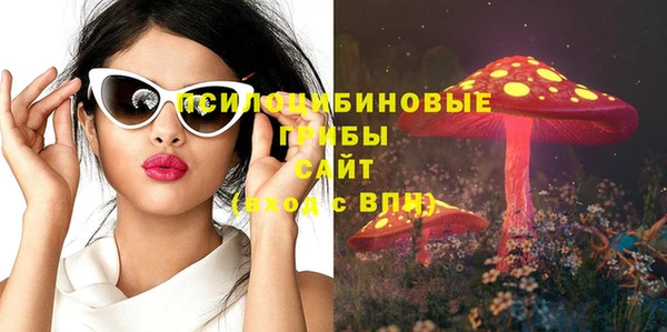 хмурый Балабаново
