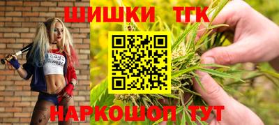 ECSTASY Камышлов