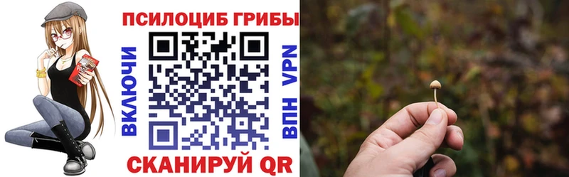 shop телеграм  купить   KRAKEN ссылка  Мурманск  Галлюциногенные грибы Cubensis 